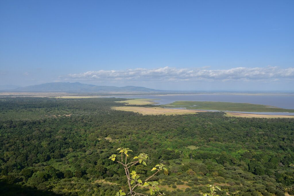 Widok z góry ze skarpy na zielony las, równinę i jezioro Manyara w oddali