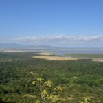 Widok z góry ze skarpy na zielony las, równinę i jezioro Manyara w oddali