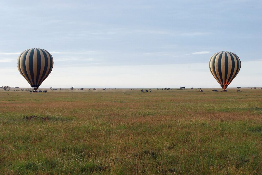 Dwa pasiaste balony lądują wczesnym rankiem na zielonej równinie, a za nimi jadą samochody 4x4