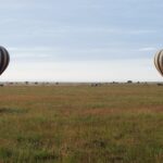 Dwa pasiaste balony lądują wczesnym rankiem na zielonej równinie, a za nimi jadą samochody 4x4