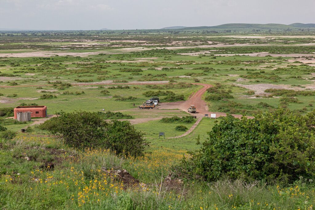 Widok z Observation Hill na zieloną równinę w plamach soli, czerwona droga gruntowa, trzy samochody 4x4 przy małym ochrowym budynku, w oddali niskie wzgórza