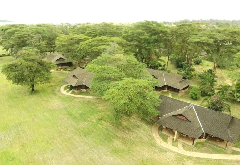 Strzechy Ol Tukai Lodge wśród akacji, w Parku Narodowym Amboseli