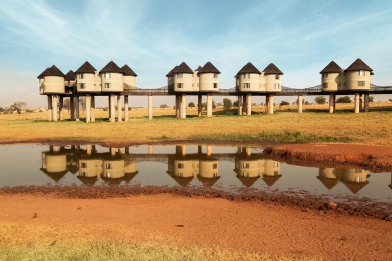 Wieże Salt Lick Safari Lodge na palach, połączone kładkami, odbijają się w wodopoju