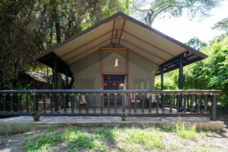 Namiot Sarova Mara Game Camp pod dachem, na tarasie z balustradą, między drzewami